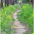 仁德虎山森林步道16.JPG