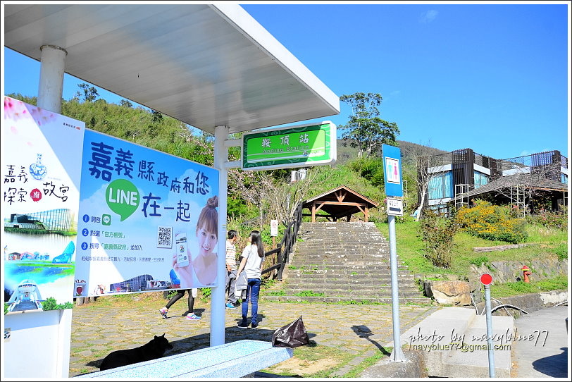 隙頂二延平步道-茶霧之道03.JPG