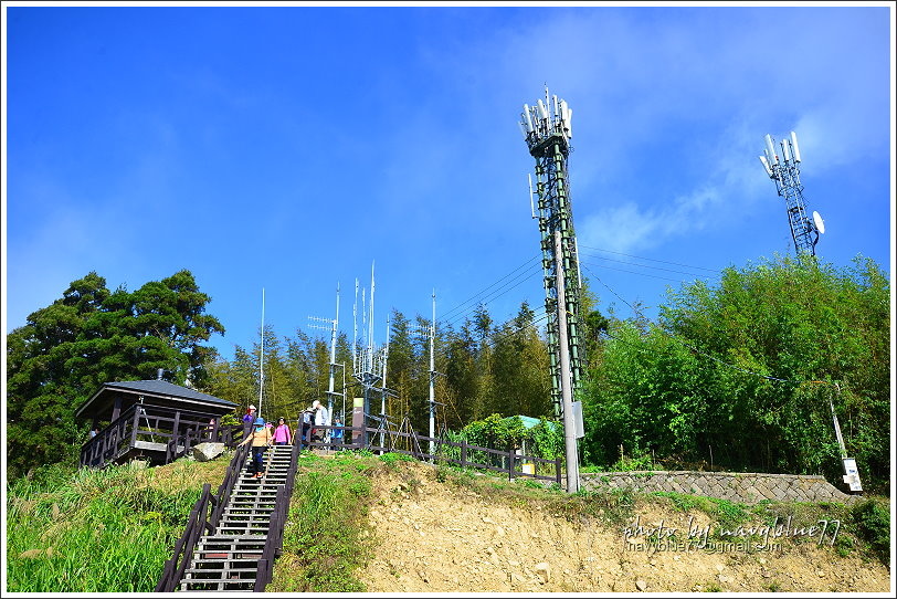 隙頂二延平步道-茶霧之道23.JPG