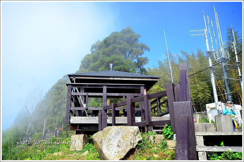 隙頂二延平步道-茶霧之道24.JPG