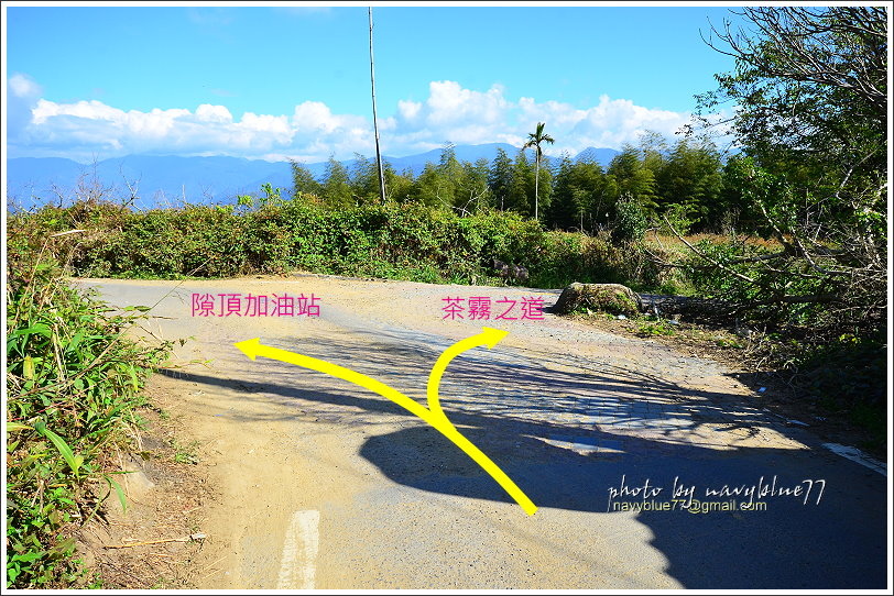 隙頂二延平步道-茶霧之道31.JPG