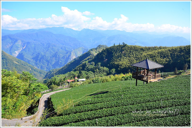 隙頂二延平步道-茶霧之道37.JPG