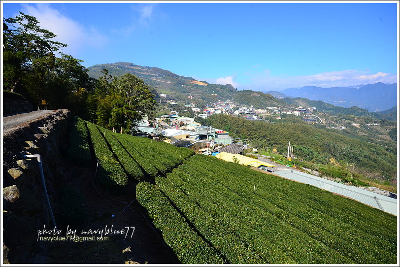 隙頂二延平步道-茶霧之道42.JPG