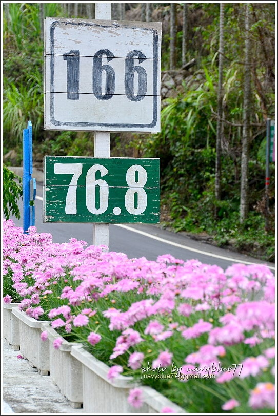 2017瑞里紫藤花季47.JPG 2017瑞里紫藤花季47.JPG