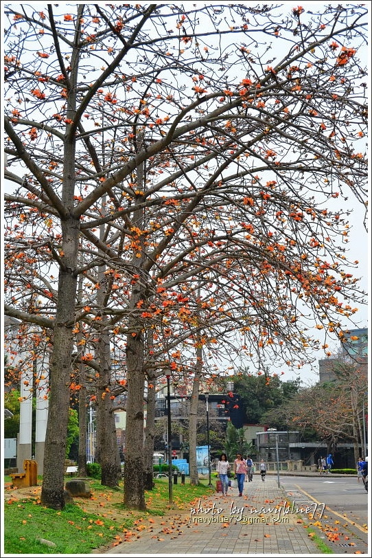 新竹活化古蹟25.JPG 新竹活化古蹟25.JPG