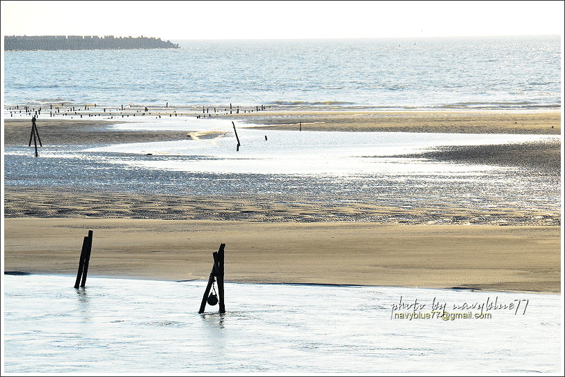 台西夢幻海灘11.JPG 台西夢幻海灘11.JPG