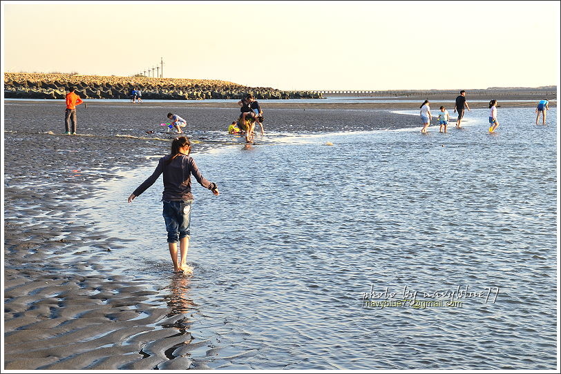 台西夢幻海灘17.JPG 台西夢幻海灘17.JPG