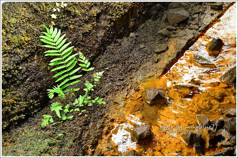 苗栗功維敘隧道12.JPG 苗栗功維敘隧道12.JPG
