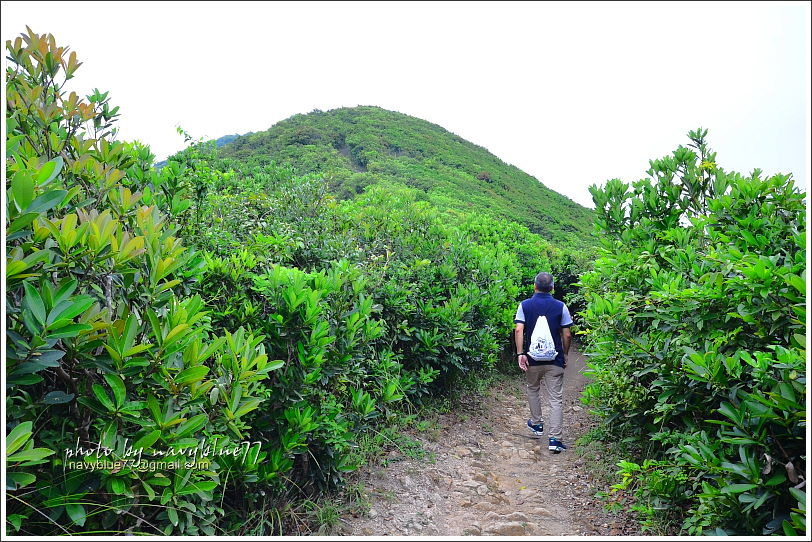 香港衛奕信徑赤柱至陽明山莊13.JPG 香港衛奕信徑赤柱至陽明山莊13.JPG