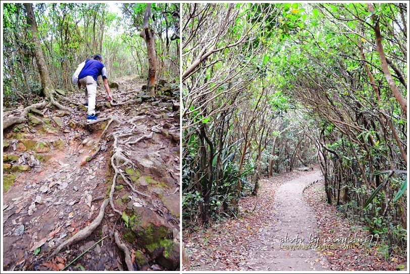 香港衛奕信徑赤柱至陽明山莊16.JPG