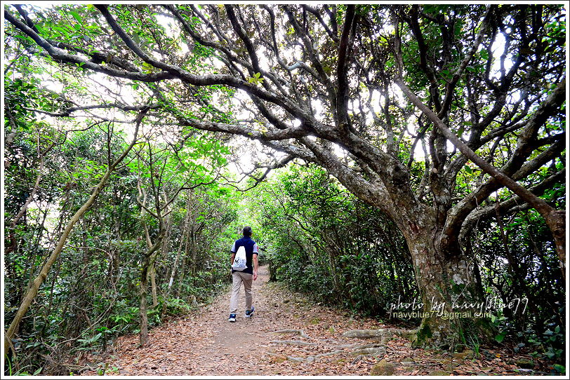 香港衛奕信徑赤柱至陽明山莊17.JPG 香港衛奕信徑赤柱至陽明山莊17.JPG