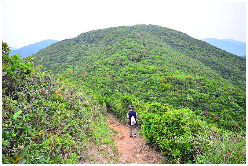 香港衛奕信徑赤柱至陽明山莊18.JPG 香港衛奕信徑赤柱至陽明山莊18.JPG