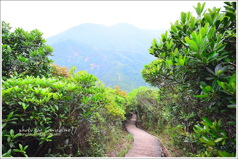 香港衛奕信徑赤柱至陽明山莊19.JPG 香港衛奕信徑赤柱至陽明山莊19.JPG