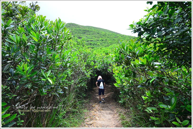 香港衛奕信徑赤柱至陽明山莊27.JPG 香港衛奕信徑赤柱至陽明山莊27.JPG