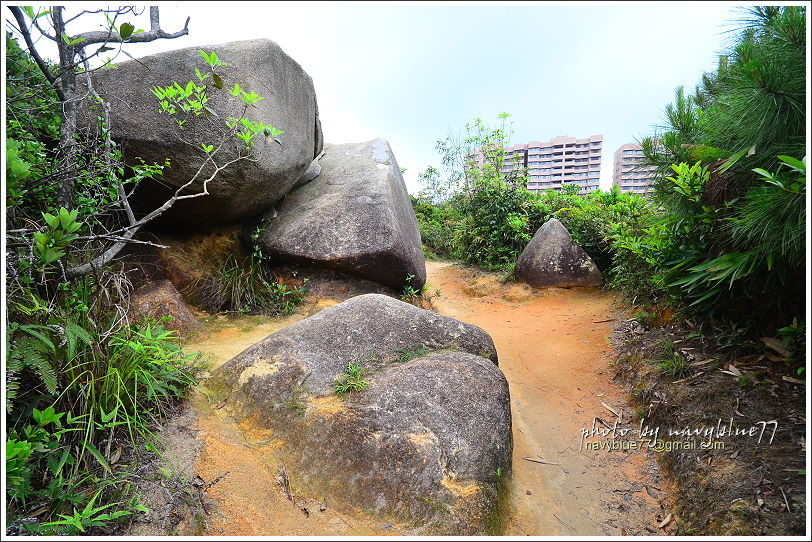 香港衛奕信徑赤柱至陽明山莊34.JPG 香港衛奕信徑赤柱至陽明山莊34.JPG