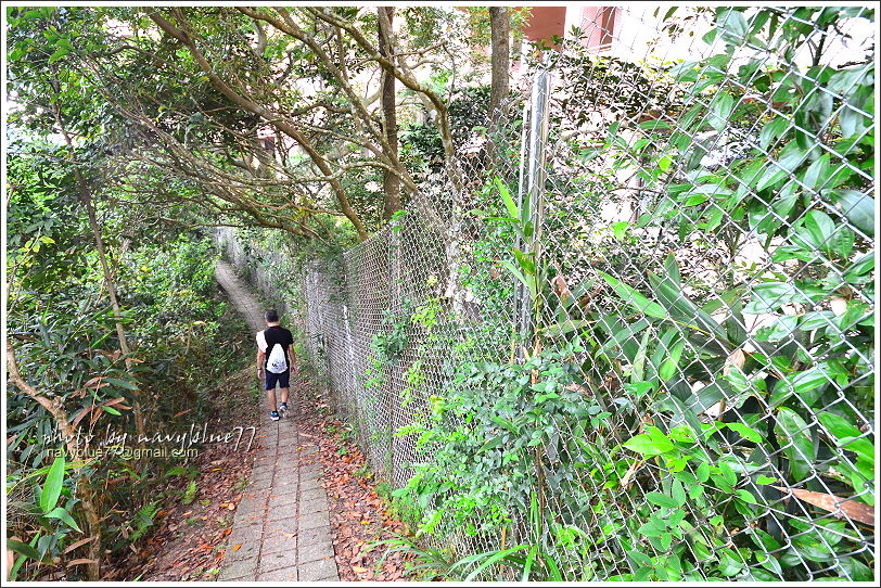 香港衛奕信徑赤柱至陽明山莊35.JPG 香港衛奕信徑赤柱至陽明山莊35.JPG