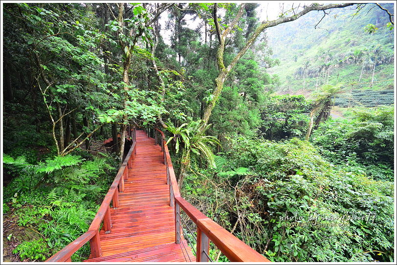 嘉義梅山太平仙人堀步道05.JPG 嘉義梅山太平仙人堀步道05.JPG