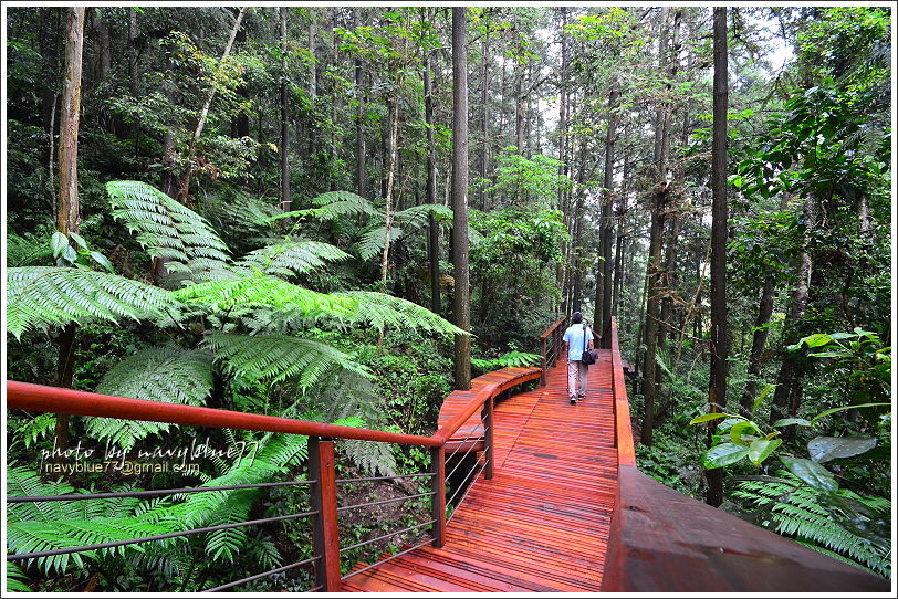 嘉義梅山太平仙人堀步道06.JPG 嘉義梅山太平仙人堀步道06.JPG