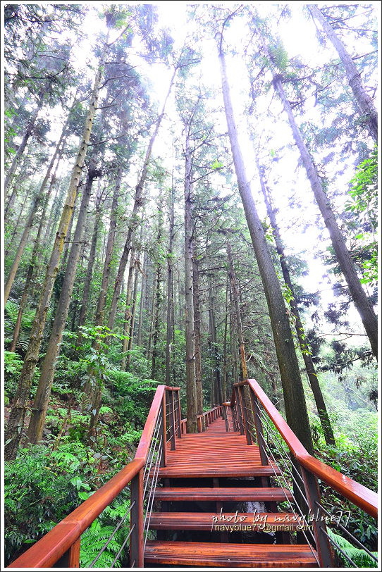 嘉義梅山太平仙人堀步道07.JPG