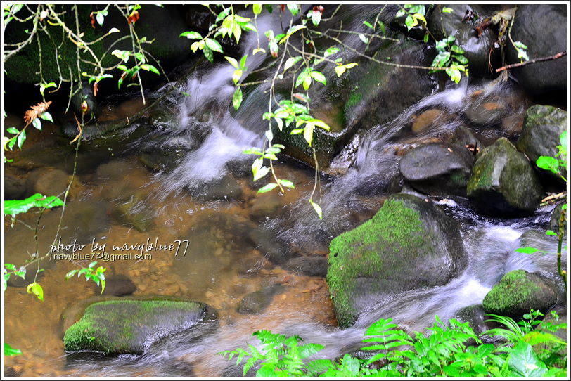 嘉義梅山太平仙人堀步道09.JPG 嘉義梅山太平仙人堀步道09.JPG