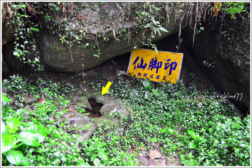 嘉義梅山太平仙人堀步道11.JPG 嘉義梅山太平仙人堀步道11.JPG