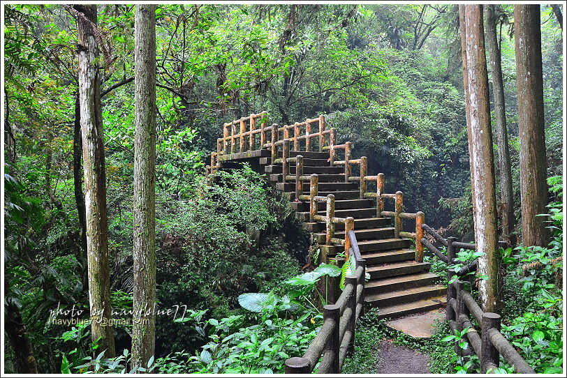 嘉義梅山太平仙人堀步道12.JPG 嘉義梅山太平仙人堀步道12.JPG