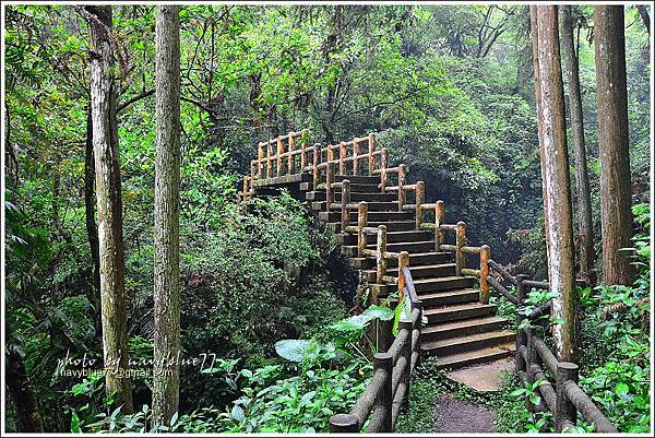 嘉義梅山太平仙人堀步道12.JPG