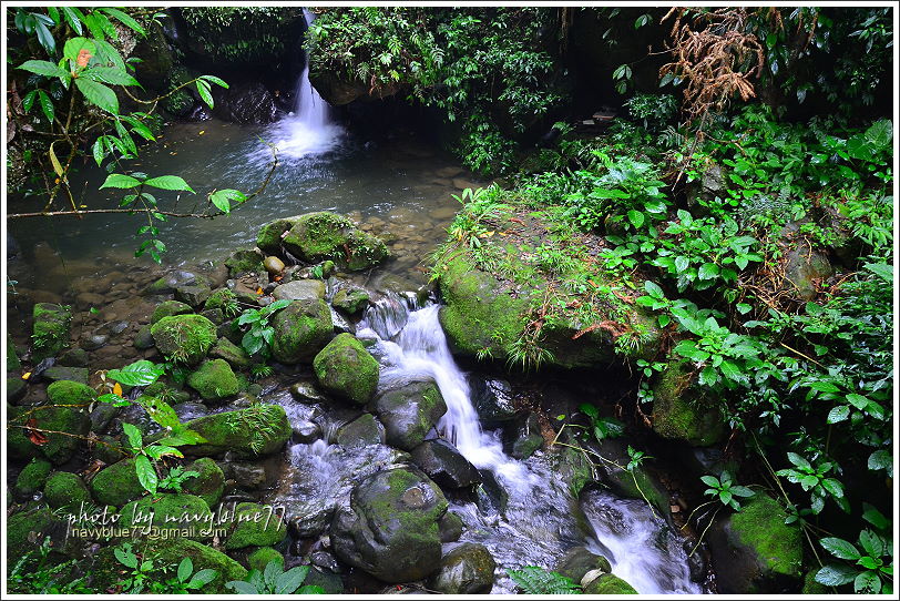 嘉義梅山太平仙人堀步道14.JPG 嘉義梅山太平仙人堀步道14.JPG