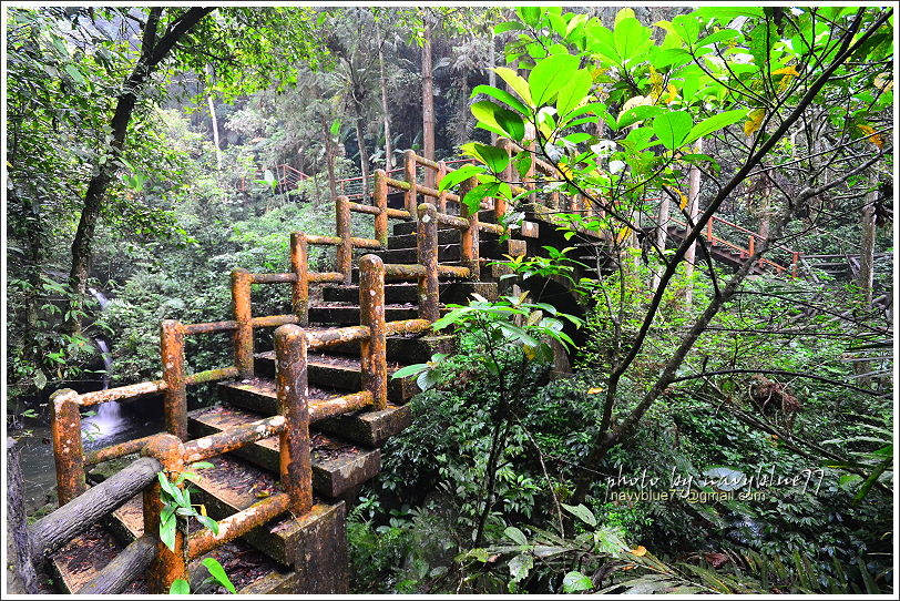 嘉義梅山太平仙人堀步道18.JPG 嘉義梅山太平仙人堀步道18.JPG