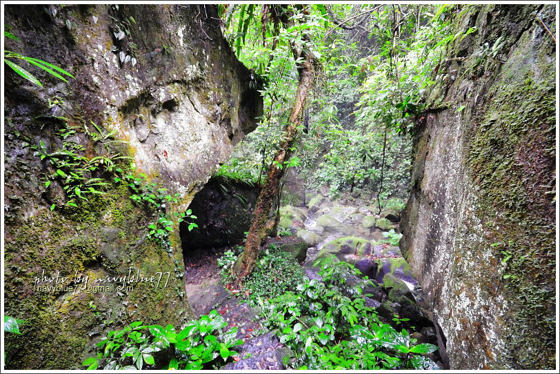 嘉義梅山太平仙人堀步道19.JPG 嘉義梅山太平仙人堀步道19.JPG