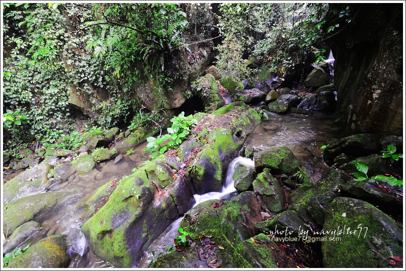 嘉義梅山太平仙人堀步道21.JPG 嘉義梅山太平仙人堀步道21.JPG