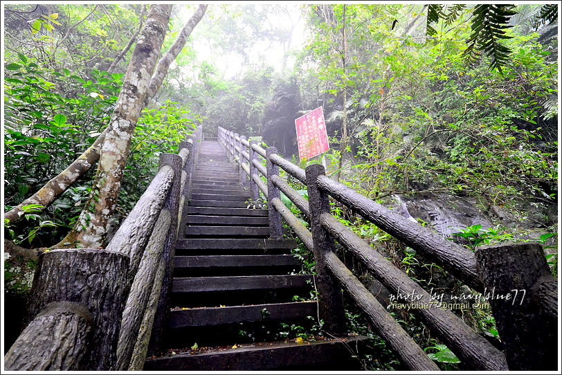 嘉義梅山太平仙人堀步道22.JPG