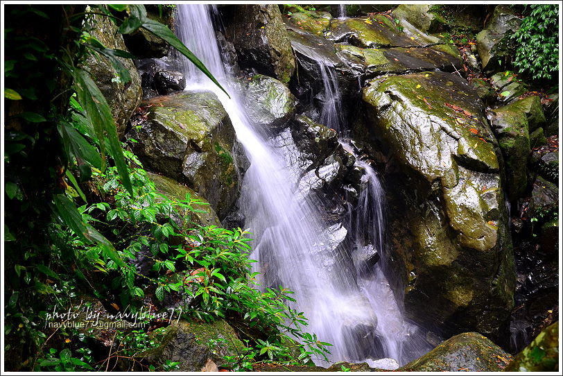 嘉義梅山太平仙人堀步道23.JPG 嘉義梅山太平仙人堀步道23.JPG