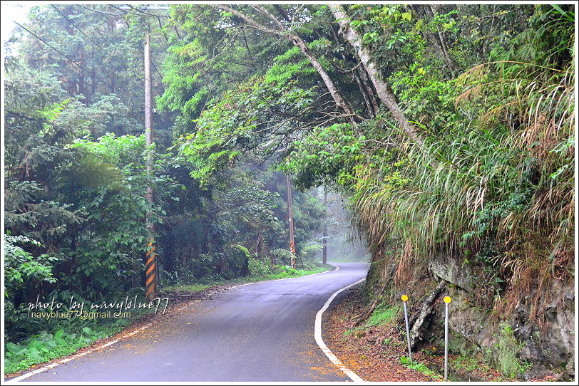嘉義梅山太平仙人堀步道32.JPG 嘉義梅山太平仙人堀步道32.JPG