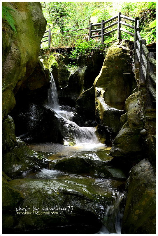 嘉義梅山太平仙人堀步道35.JPG 嘉義梅山太平仙人堀步道35.JPG