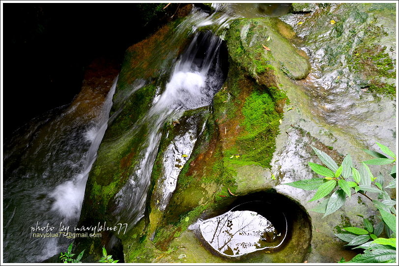 嘉義梅山太平仙人堀步道36.JPG 嘉義梅山太平仙人堀步道36.JPG