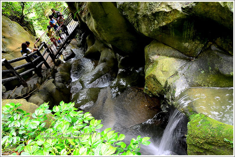 嘉義梅山太平仙人堀步道37.JPG 嘉義梅山太平仙人堀步道37.JPG