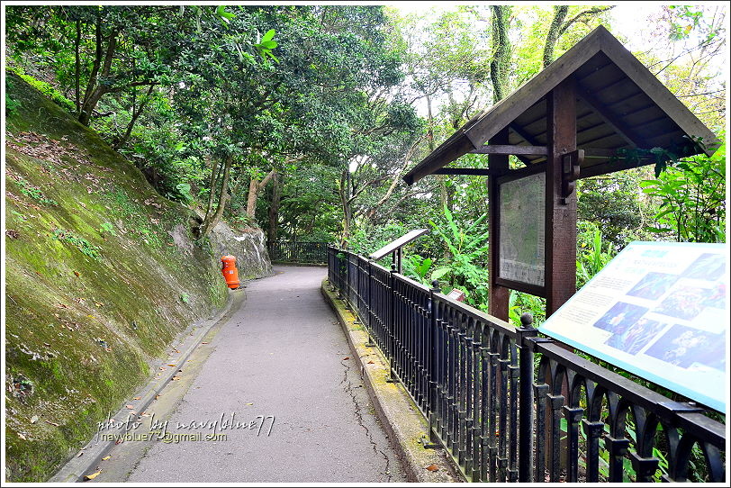 香港太平山頂環迴步行徑05