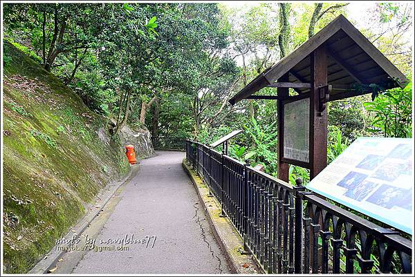 香港太平山頂環迴步行徑05