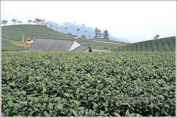 太平風景區景點 (21).JPG