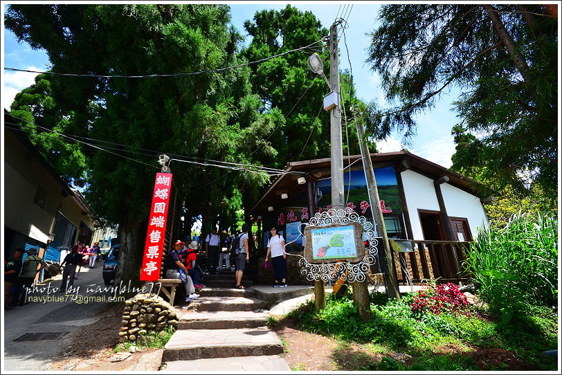 清境高空觀景步道04.JPG