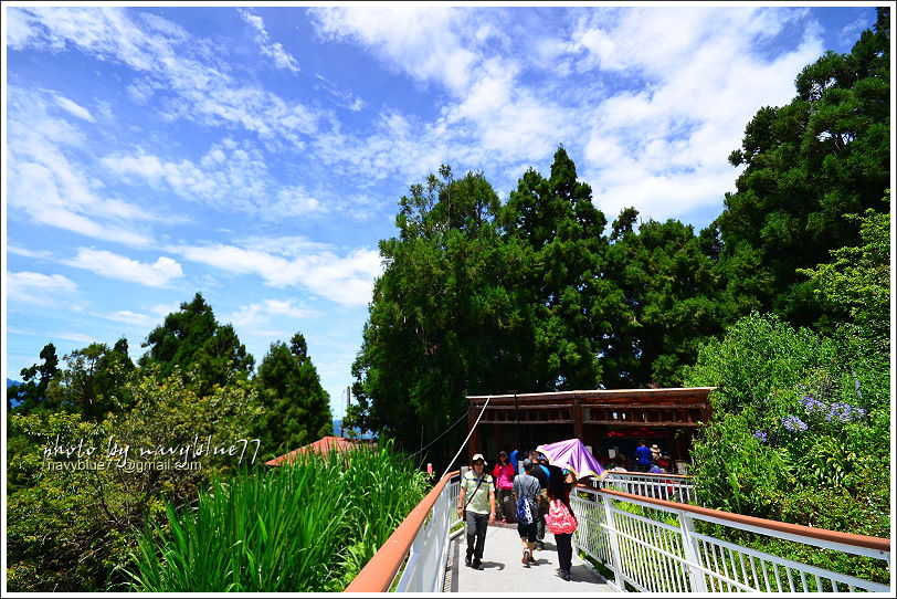 清境高空觀景步道05.JPG