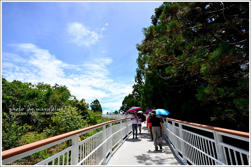 清境高空觀景步道06.JPG