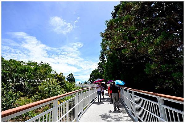清境高空觀景步道06.JPG