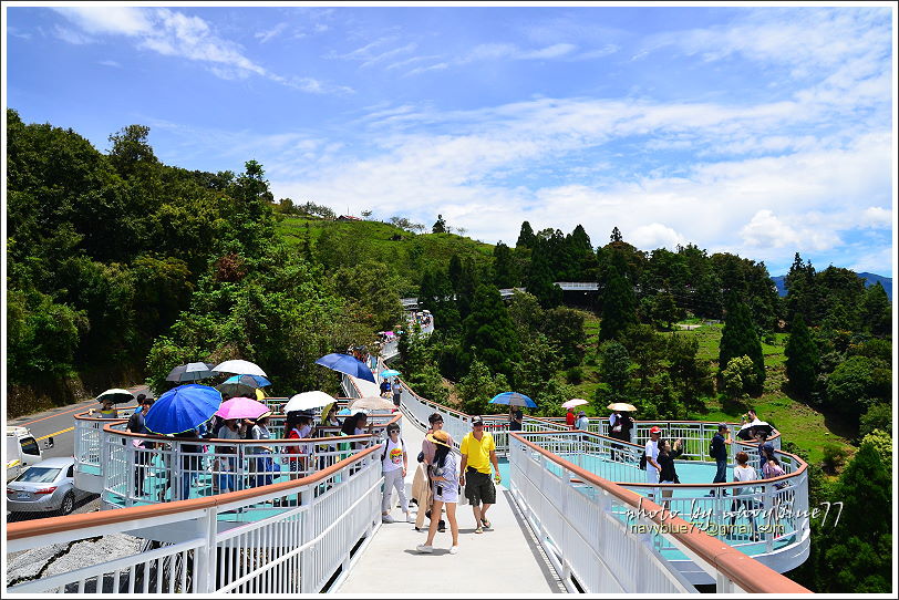 清境高空觀景步道15.JPG