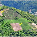 清境高空觀景步道20.JPG