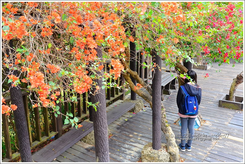 小崗山-崗山之眼天空廊道46.JPG