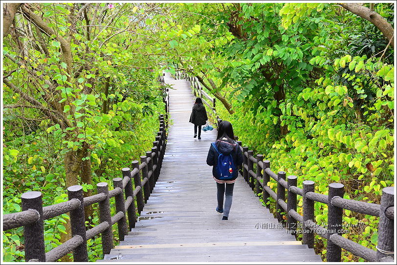 小崗山-崗山之眼天空廊道74.JPG