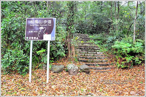 惠蓀林場環場森林步道O形03.JPG