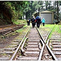 阿里山水山線鐵道-水山神木